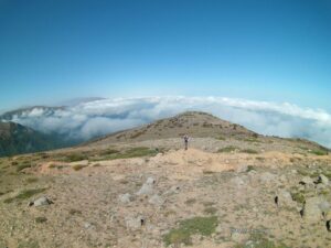 سانگ یانگ سواران 1 (66)